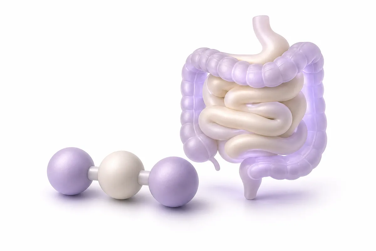 A three-bead tripeptide chain beside a coiled intestine, illustrating KPV gut and inflammation research