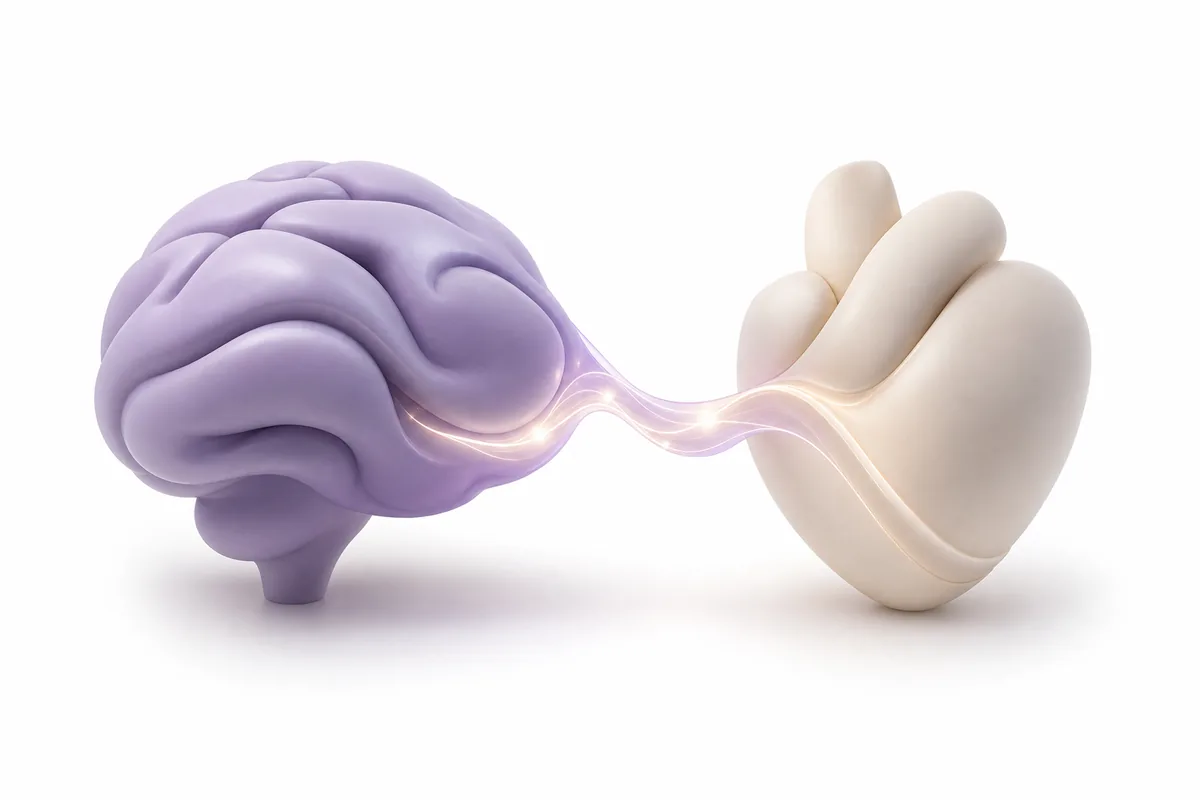 A brain linked to a heart by a glowing neural pathway, illustrating PT-141 melanocortin research on sexual function